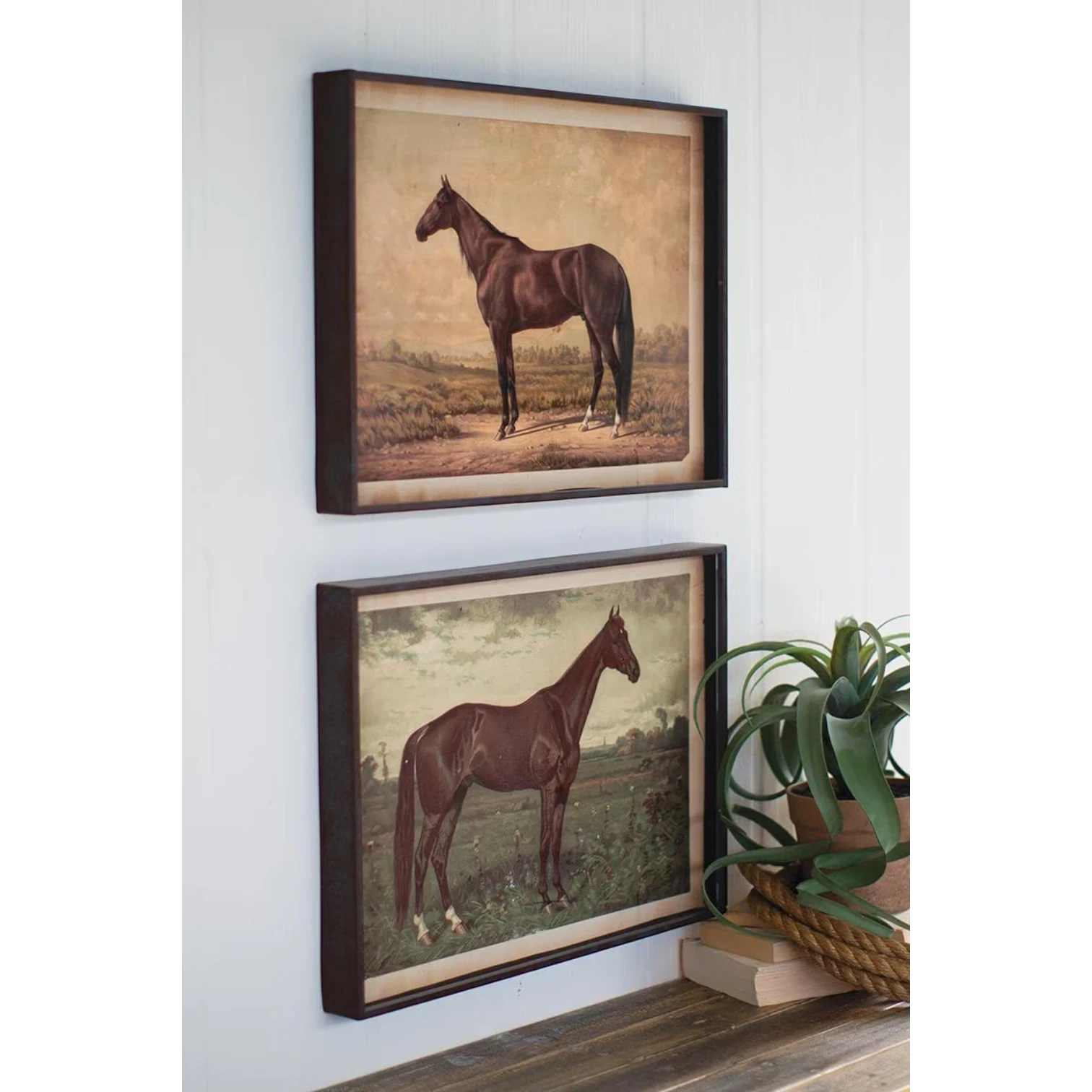 FurnishHere vintage horse portraits of St. Julien and Edwin Thorne in dark shadowbox frames. Equestrian art.