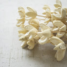 Artificial white flowers on a textured white surface