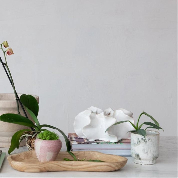 Decorative arrangement of plants and a book on a light surface with a neutral background