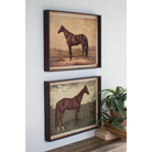 FurnishHere vintage horse portraits of St. Julien and Edwin Thorne in dark shadowbox frames. Equestrian art.